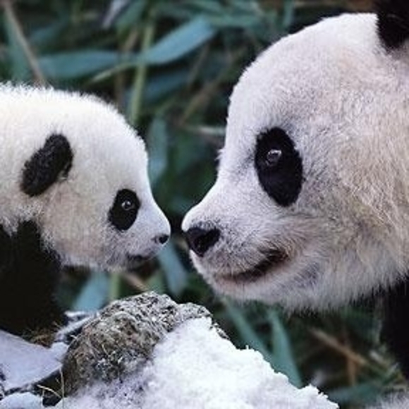 Meet your Posher, Tonia - Picture 1 of 1